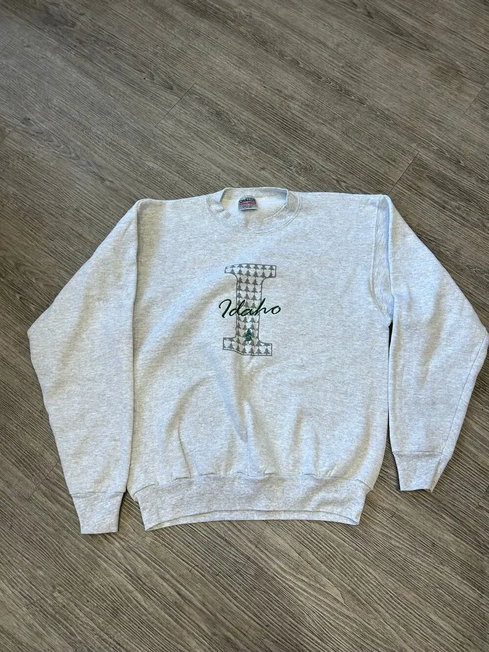 Vintage 90s Oneita Power-Sweats Idaho Sweatshirt Size L Made in USA Grey Trees